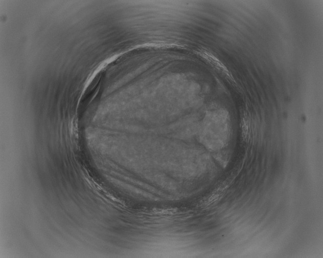 X0000067850484200605111712