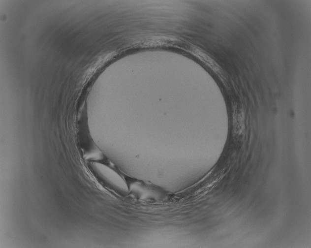 X0000067850485200605111712