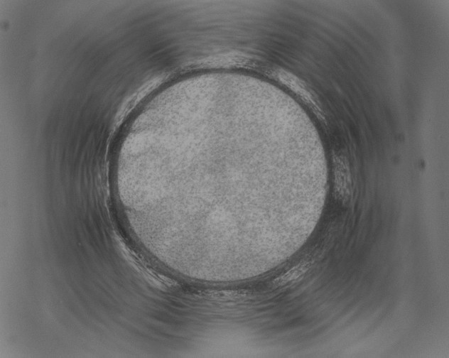 X0000067850486200605111712