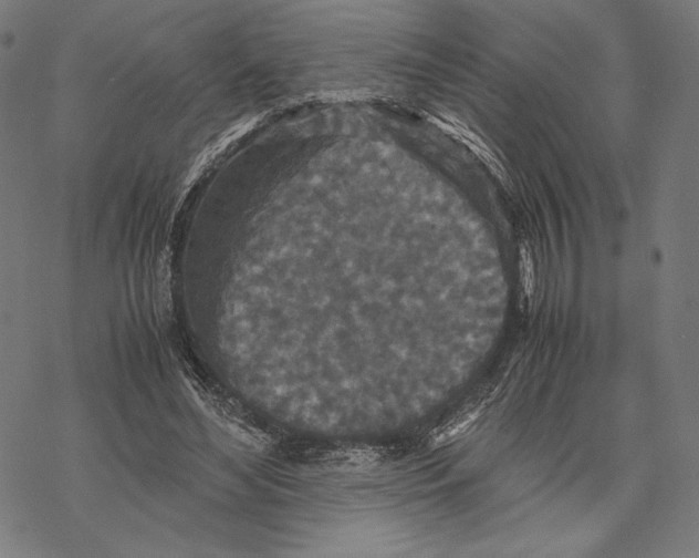 X0000067850492200605111712