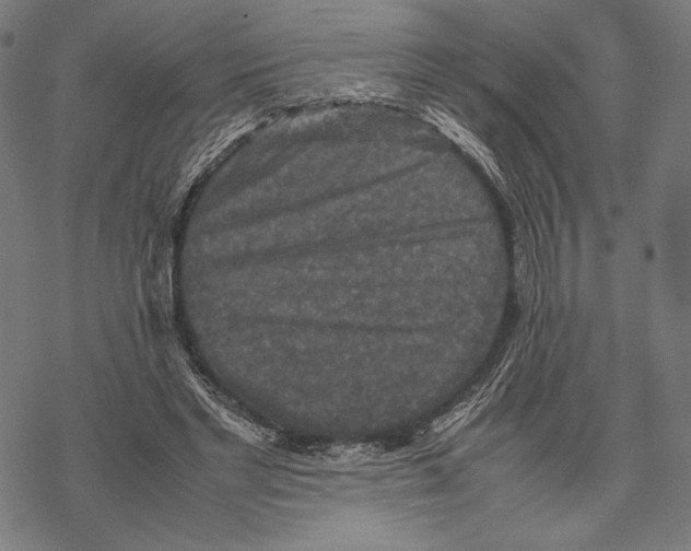 X0000067850493200605111712