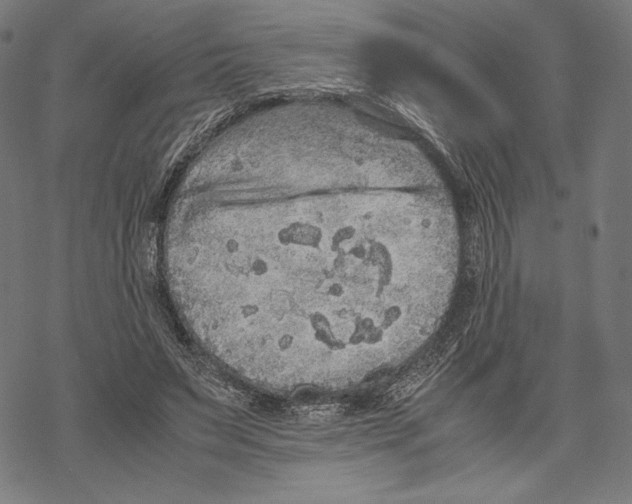 X0000067850495200605111712