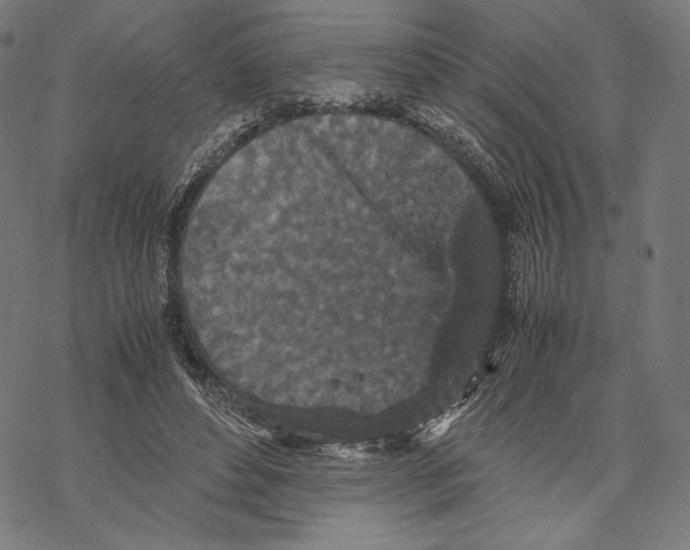 X0000067850496200605111712