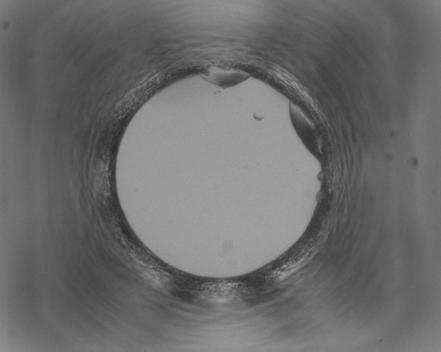 X0000067850497200605111712