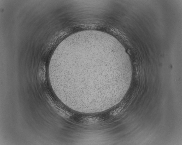 X0000067850498200605111712