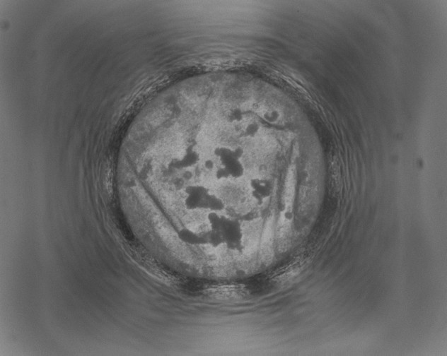 X0000067850499200605111712