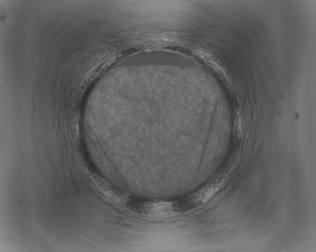 X0000067850501200605111712