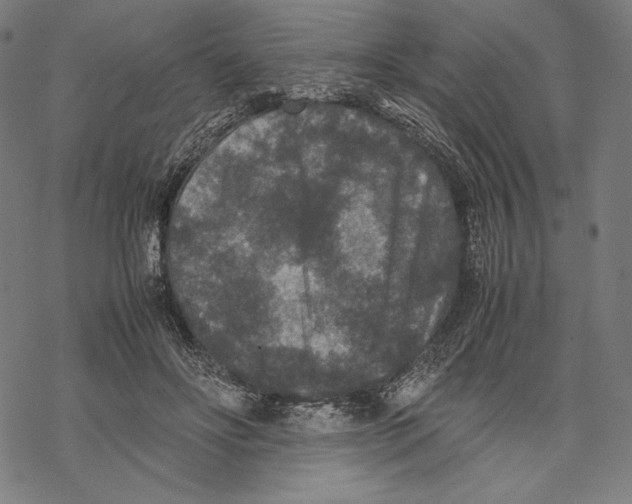 X0000067850502200605111712