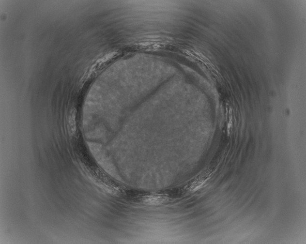 X0000067850504200605111711