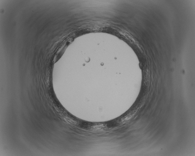 X0000067850505200605111711