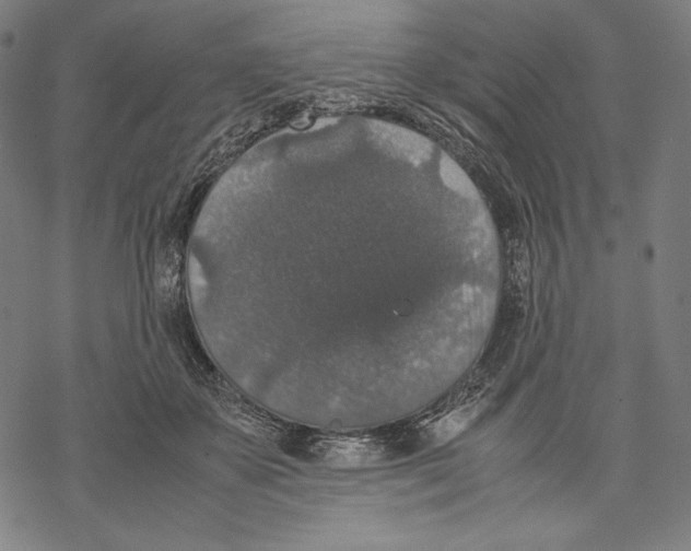 X0000067850507200605111711