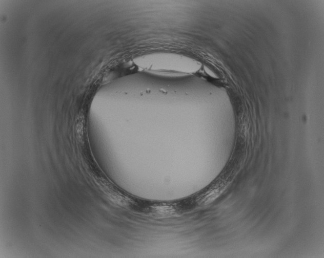 X0000067850509200605111711