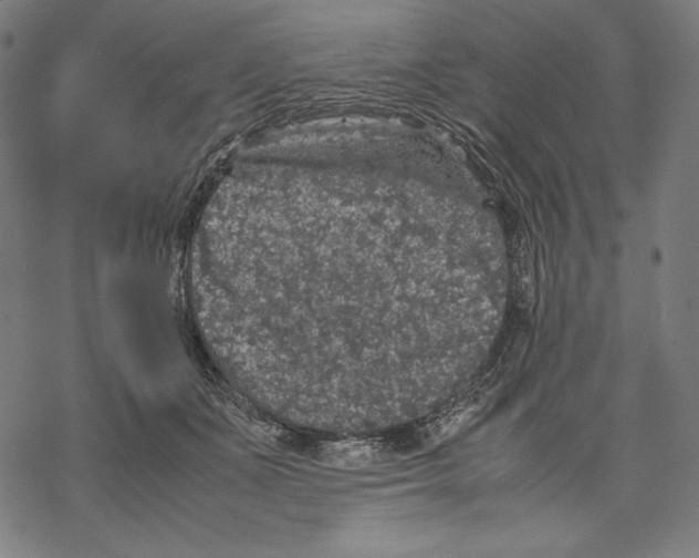 X0000067850511200605111711