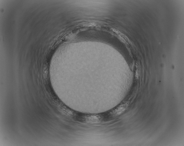 X0000067850513200605111711