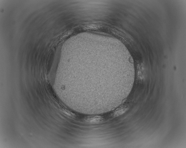 X0000067850514200605111711