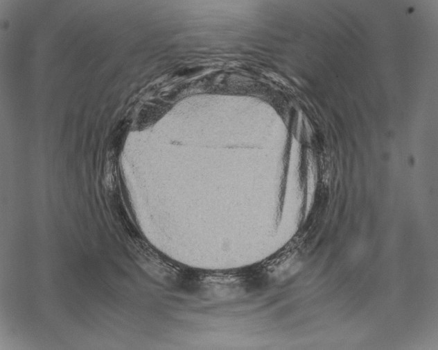 X0000067850515200605111711