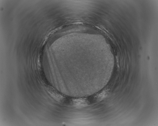 X0000067850516200605111711