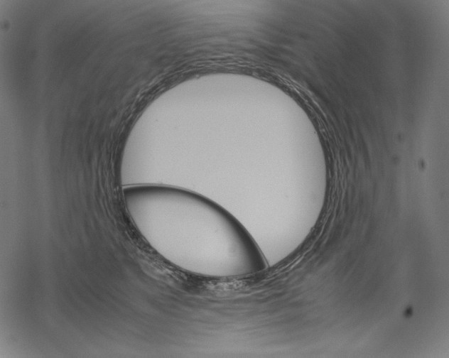 X0000067850517200605111711