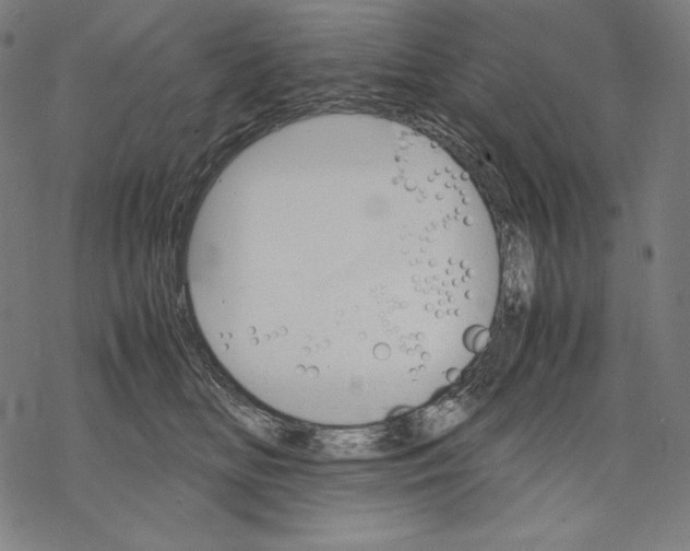 X0000067850518200605111711