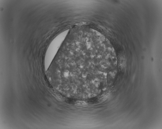 X0000067850519200605111711