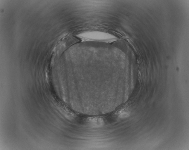 X0000067850520200605111711