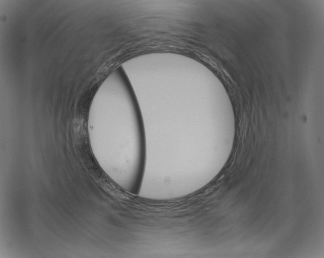 X0000067850521200605111711