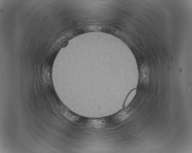 X0000067850522200605111711