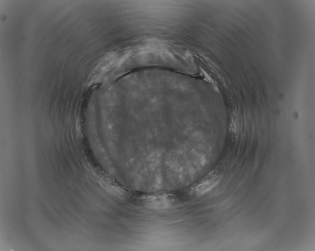 X0000067850524200605111711