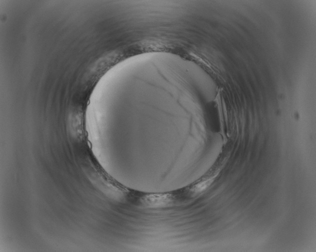 X0000067850526200605111711