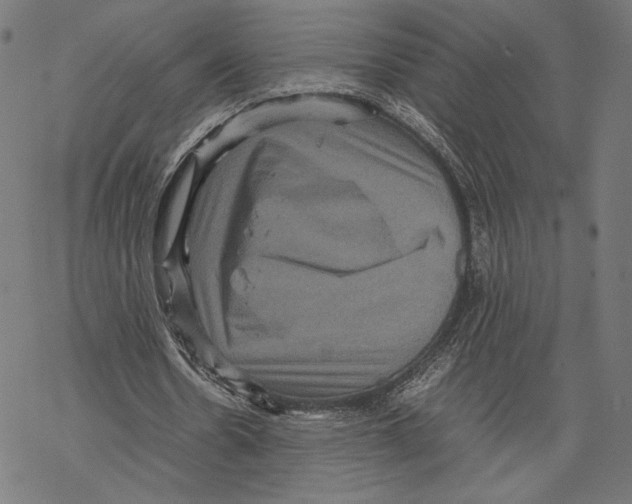 X0000067850530200605111710