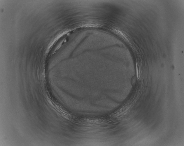 X0000067850531200605111710