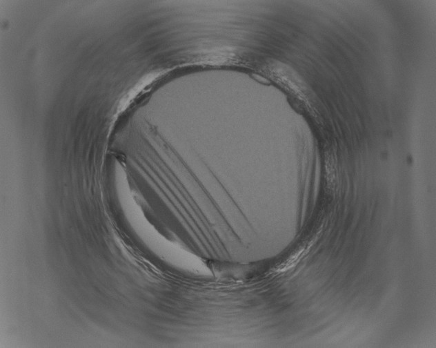 X0000067850532200605111710