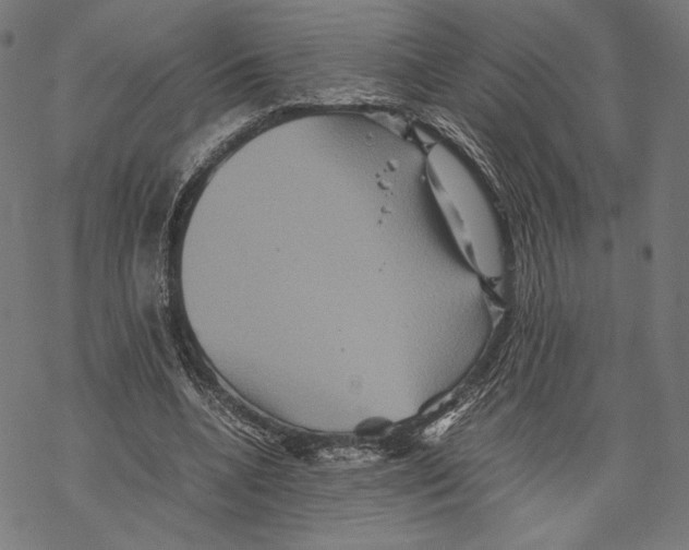 X0000067850536200605111710