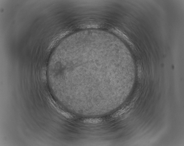 X0000067850537200605111710