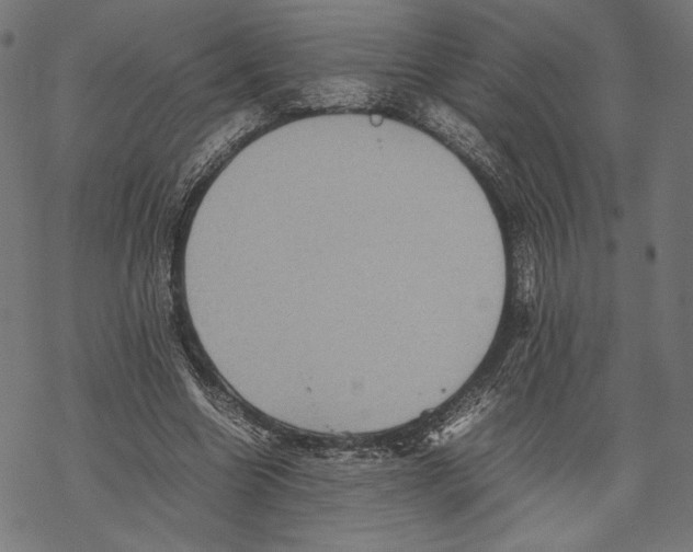 X0000067850538200605111710