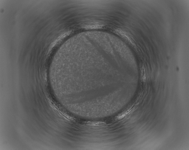 X0000067850539200605111710