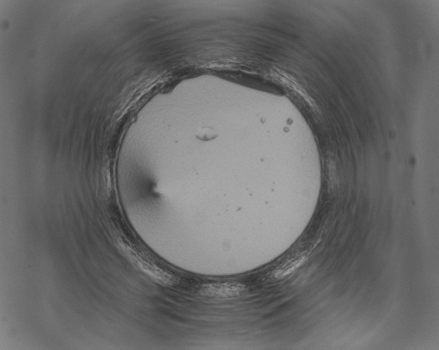 X0000067850541200605111710