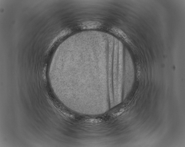 X0000067850543200605111710