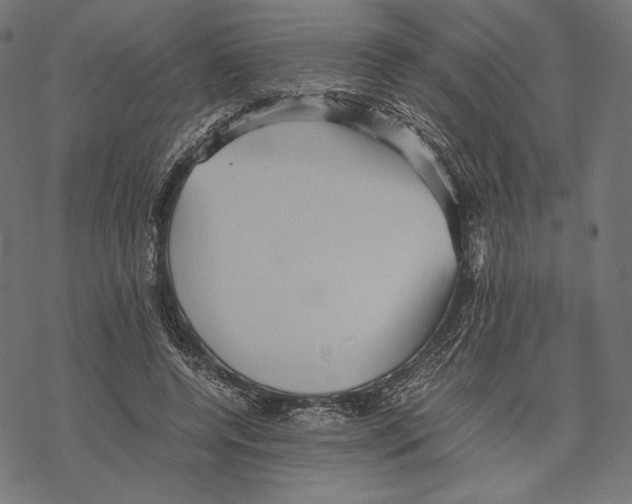 X0000067850544200605111711