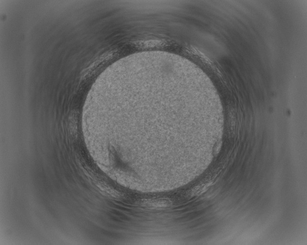 X0000067850545200605111711