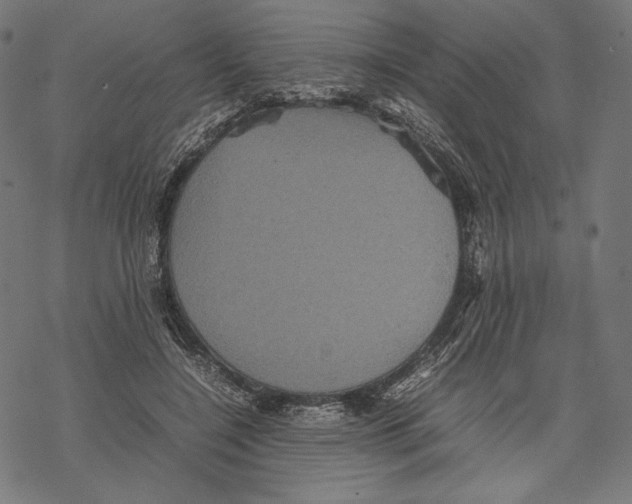 X0000067850548200605111711