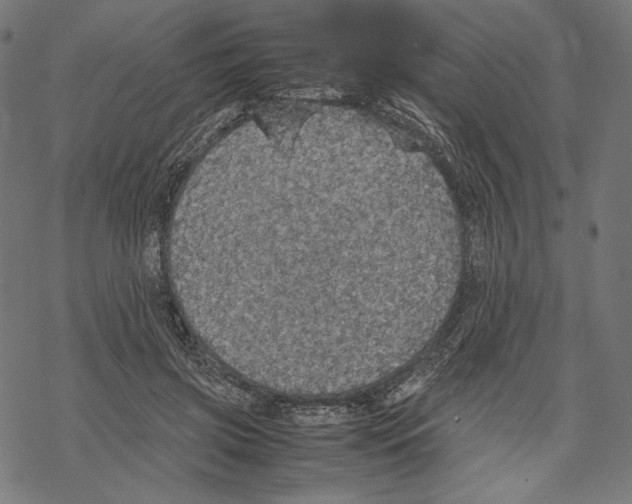 X0000067850549200605111711