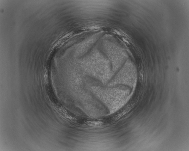 X0000067850552200605111711