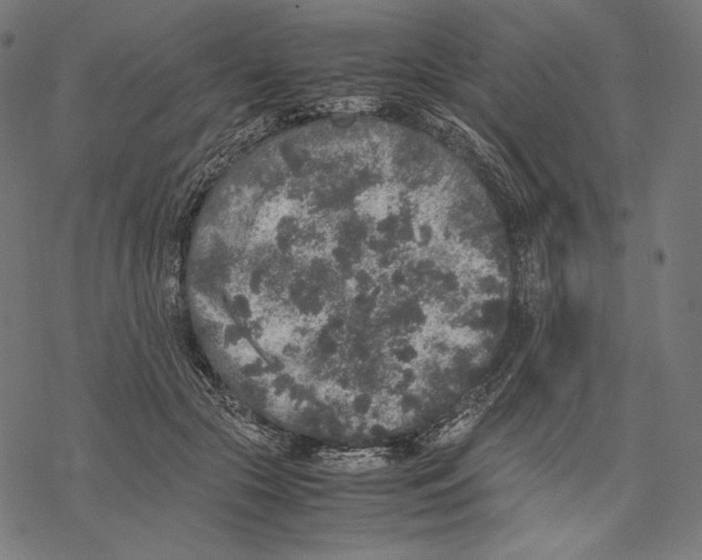 X0000067850553200605111711