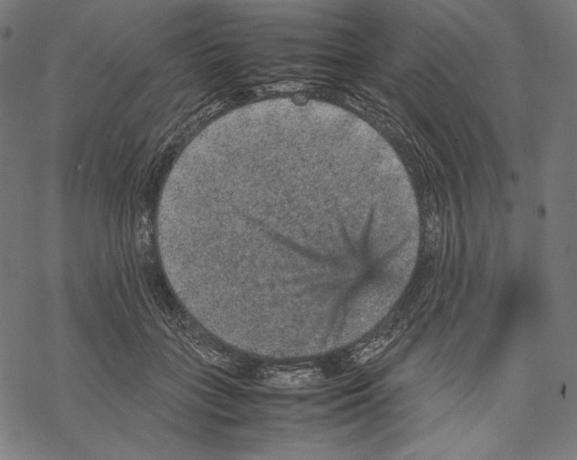 X0000067850555200605111711