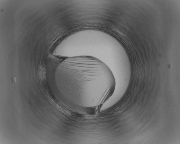 X0000067850556200605111711