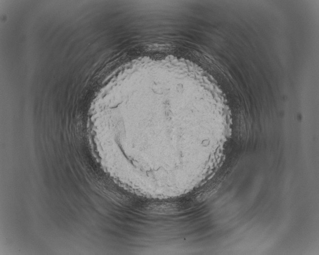 X0000067850557200605111711