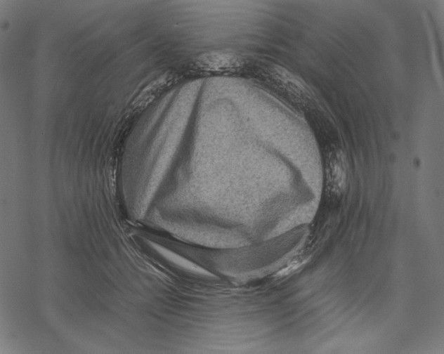 X0000067850558200605111711