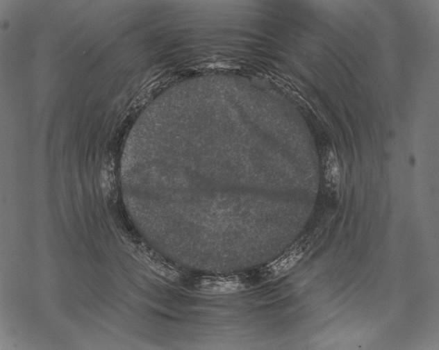 X0000067850559200605111711