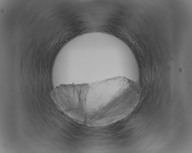 X0000067850561200605111711